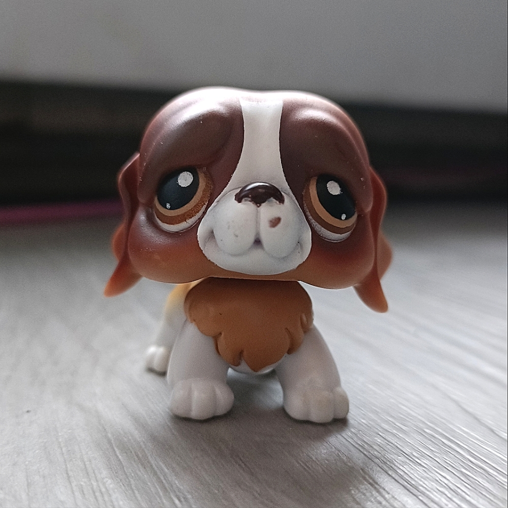 Hasbro LPS Littlest Pet Shop Saint Bernard #229